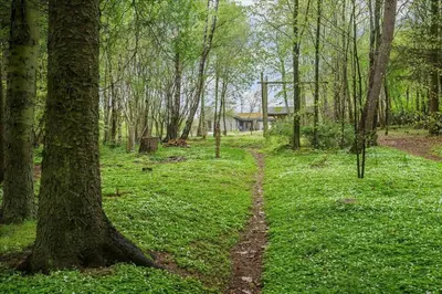 a dirt trail in the middle of a forest at BL128-Saltum-Klaus-Bjergsvej-9 in Saltum