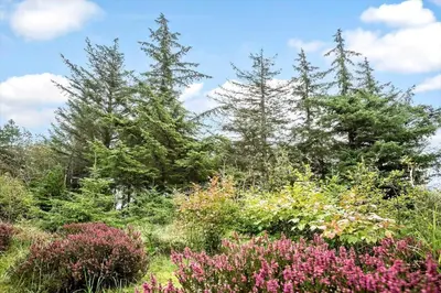 a garden with trees and flowers in the foreground at BL1764-Pandrup-Lunekrogen-7 in Pandrup