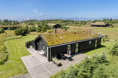 an image of a black house with a grass roof at BL1511-Saltum-Tolhoj-21 in Saltum