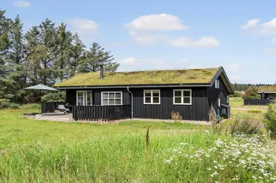 a black house with a grass roof on a field at BL959-Saltum-Nordvestvej-6 in Saltum