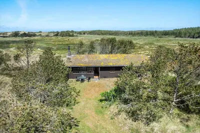 a house with a yellow roof in a field at BL1570-Pandrup-Flaskehalsen-13-A in Pandrup