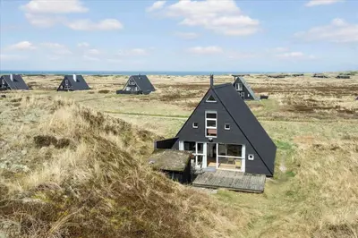 a group of black houses in a field at BL1738-Pandrup-Narhvalen-11 in Pandrup