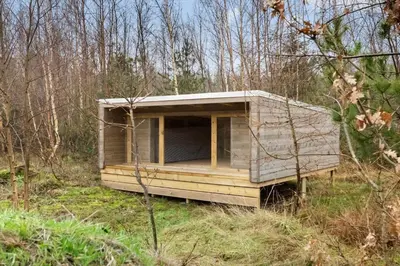 a small wooden house in the middle of a forest at BL1479-Saltum-Solmarken-1 in Saltum
