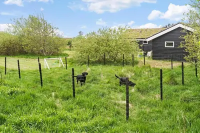two dogs behind a fence in a field at BL497-Saltum-Tolhoj-4 in Saltum