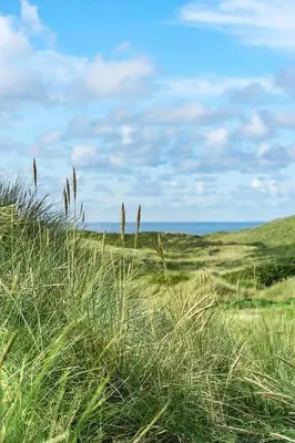 a field of tall grass with the ocean in the background at BL1308-Saltum-Kordalsvej-124 in Saltum