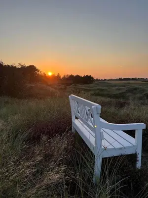 a white bench sitting in a field at sunset at BL1338-Pandrup-Lunekrogen-10 in Pandrup