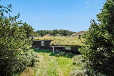 a house with a grass covered roof with a yard at BL199-Saltum-Daadyrvej-22 in Saltum