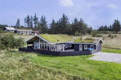 a house with a grass roof on a field at BL106-Saltum-Tolhoj-2 in Saltum