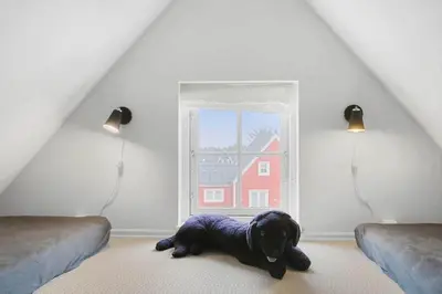 a black dog laying on the floor in front of a window at BL518-Blokhus-Ferren-Syd-86 in Blokhus