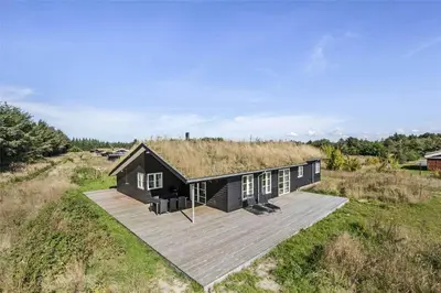 a black house with a grass roof on a field at BL386-Saltum-Nordvestvej-13 in Saltum