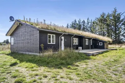 a black house with a grass roof on a field at BL386-Saltum-Nordvestvej-13 in Saltum