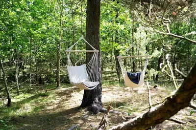 two hammocks hanging from a tree in the woods at BL238-Pandrup-Fyrregangen-18 in Pandrup