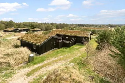 a house with a grass roof on a field at BL1696-Saltum-Kordalslien-9 in Saltum