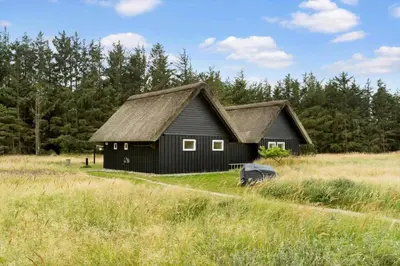 a black house in a field with trees in the background at BL1394-Pandrup-Tunen-2 in Pandrup