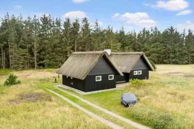 a black house with a roof in a field at BL1394-Pandrup-Tunen-2 in Pandrup