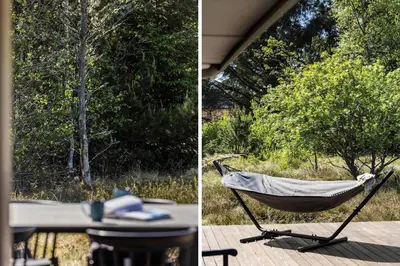 a hammock on a deck with a table and trees at BL1101-Pandrup-Rodhusparken-56 in Pandrup