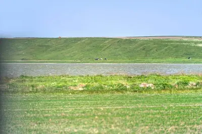 a large body of water with horses in the distance at 289-Harboore-Strandvejen-179 in Harboør