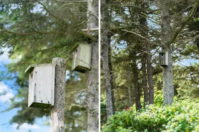 two pictures of a bird house on a tree at 202-Harboore-Viktoriavej-12-a in Harboør