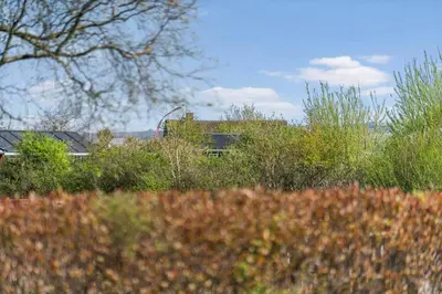 a house in a field with trees and bushes at G149-Lemvig-Porsevej-49 in Lemvig