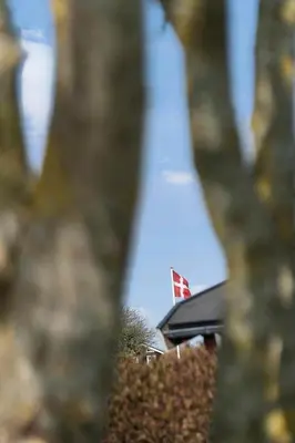 a flag on top of a house through the trees at G149-Lemvig-Porsevej-49 in Lemvig