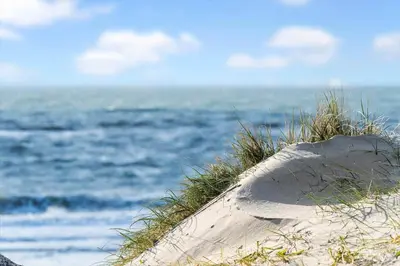 a sand dune with grass and the ocean in the background at 104-Harboore-Neerlandiavej-29 in Harboør