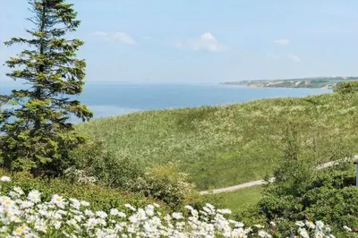 a tree on a hill with a view of the ocean at G217-Lemvig-Violvej-17 in Lemvig