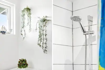 a bathroom with a shower and ivy on the wall at G305-Lemvig-Porsevej-105 in Lemvig
