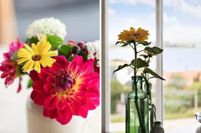two vases filled with flowers sitting on a window sill at G180-Lemvig-Bellisvej-80 in Lemvig
