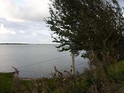 a tree next to a body of water at 6 person holiday home in Hurup Thy-By Traum in Sindrup
