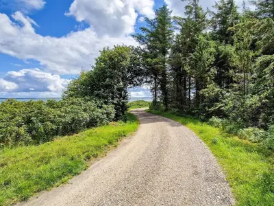 a dirt road with trees on either side at 6 person holiday home in Thyholm in Thyholm