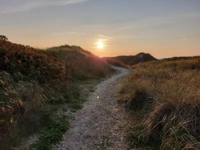 a dirt road in a field with the sunset at 6 person holiday home in Løkken in Løkken