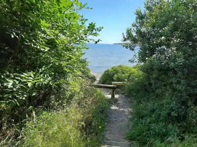 a dirt path leading to the ocean through trees at 6 person holiday home in Lemvig-By Traum in Lemvig