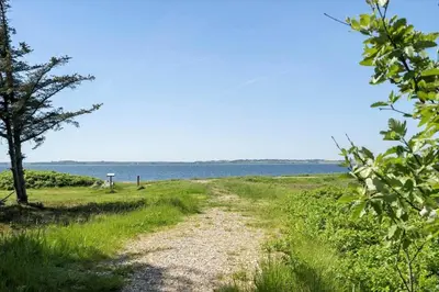 a dirt road near the water with a tree at LF10236-Thyholm-Svinget-18 in Thyholm
