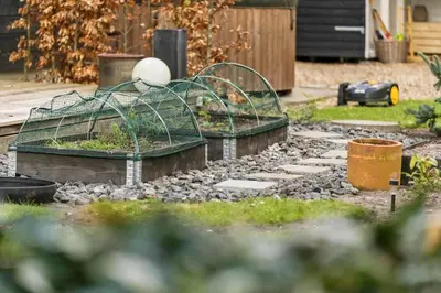 a group of green plants in a garden at LF10058-Thyholm-Fyrrevej-17 in Thyholm