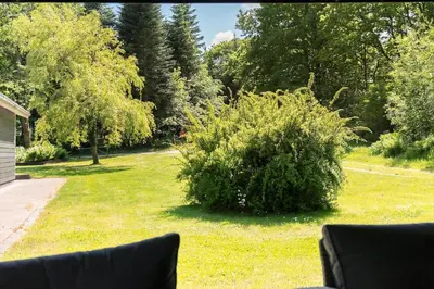 a bush sitting in the grass in a yard at LF10302-Hurup-Thy-Skibstedsvej-22-B in Sønder Ydby