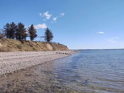 a beach with trees and water on a sunny day at 6 person holiday home in Øster Assels in Øster Assels