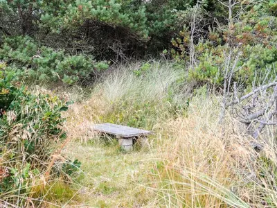 a bench sitting in a field of tall grass at Welcoming 6 person holiday home in Blokhus in Blokhus