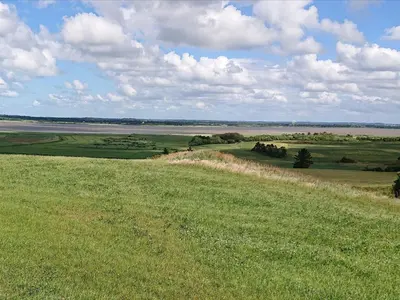 a field of green grass with a view of the ocean at Welcoming 6 person holiday home in Blokhus in Blokhus