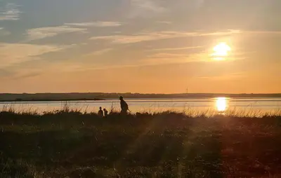 a person standing in a field near a body of water at Lovely Home In Karby With Wifi in Karby