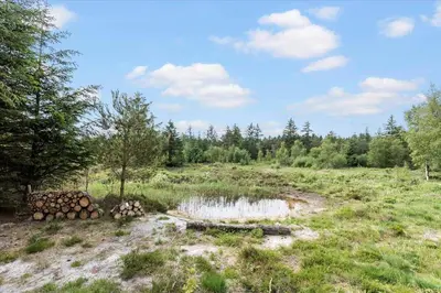 a field with trees and a pile of logs at JB827-Fjerritslev-Revlingestien-93 in Fjerritslev