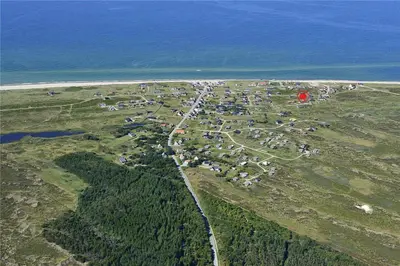 an aerial view of a herd of animals on a field near the ocean at JB340-Frostrup-Krinkelkrogen-14 in Frøstrup