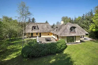 a large house with a thatched roof in a field at JB186-Fjerritslev-Gyvelstien-27 in Fjerritslev