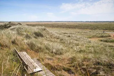 a wooden boardwalk in a field of tall grass at JB119-Brovst-Ejstrup-Strandvej-18 in Brovst
