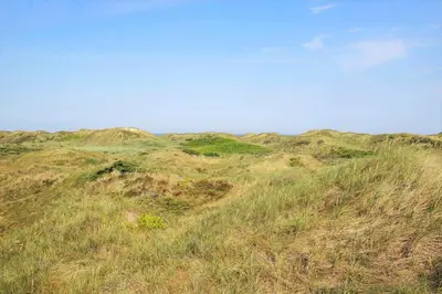 a grassy hill with a blue sky in the background at JB119-Brovst-Ejstrup-Strandvej-18 in Brovst