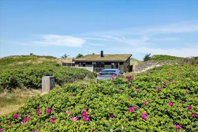 a house on top of a hill with pink flowers at JB171-Brovst-Ejstrup-Strandvej-28 in Brovst