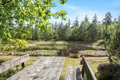a pond with lily pads and wooden benches at JB182-Fjerritslev-Gyvelstien-39 in Fjerritslev