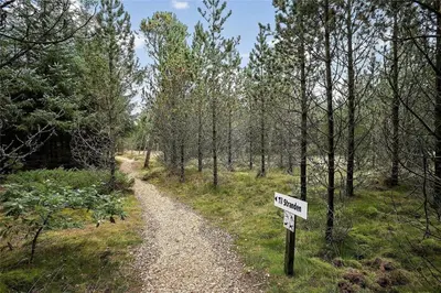 a dirt trail in a forest with a street sign at JB158-Fjerritslev-Lynghojsletten-27 in Fjerritslev