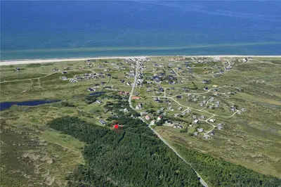 an aerial view of a group of animals on a field near the ocean at JB1108-Frostrup-Strandvejen-67 in Frøstrup