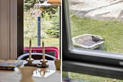 a bird sitting in a window next to a table at JB314-Fjerritslev-Tyttebaerstien-13 in Fjerritslev