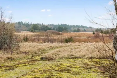 a dirt road in the middle of a field at JB227-Frostrup-Andreas-Lassens-Vej-16 in Frøstrup